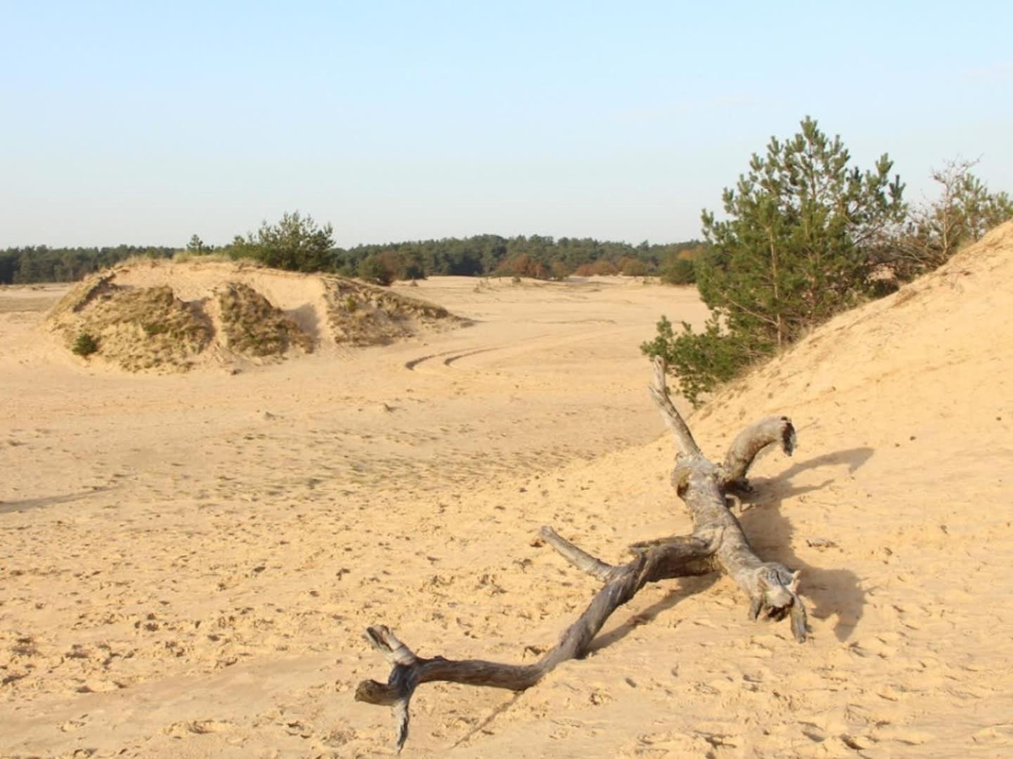 Vakantiehuis Op Rustig Bospark Veluwe Voorthuizen Exterior photo