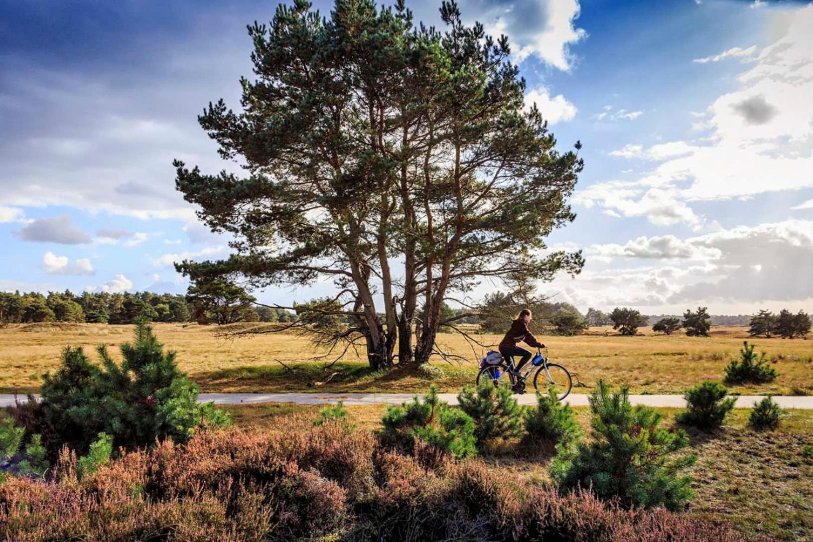 Vakantiehuis Op Rustig Bospark Veluwe Voorthuizen Exterior photo