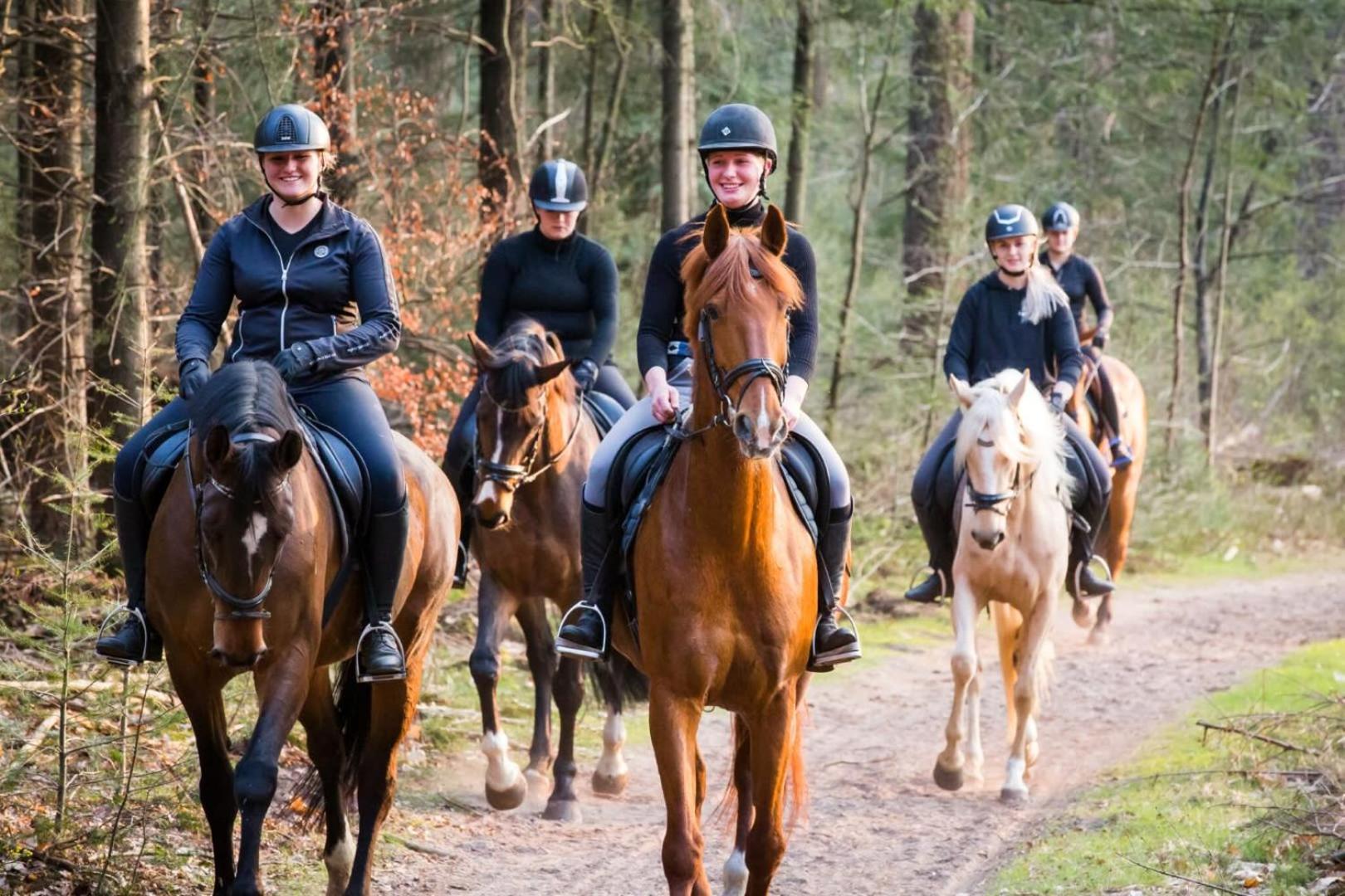 Vakantiehuis Op Rustig Bospark Veluwe Voorthuizen Exterior photo